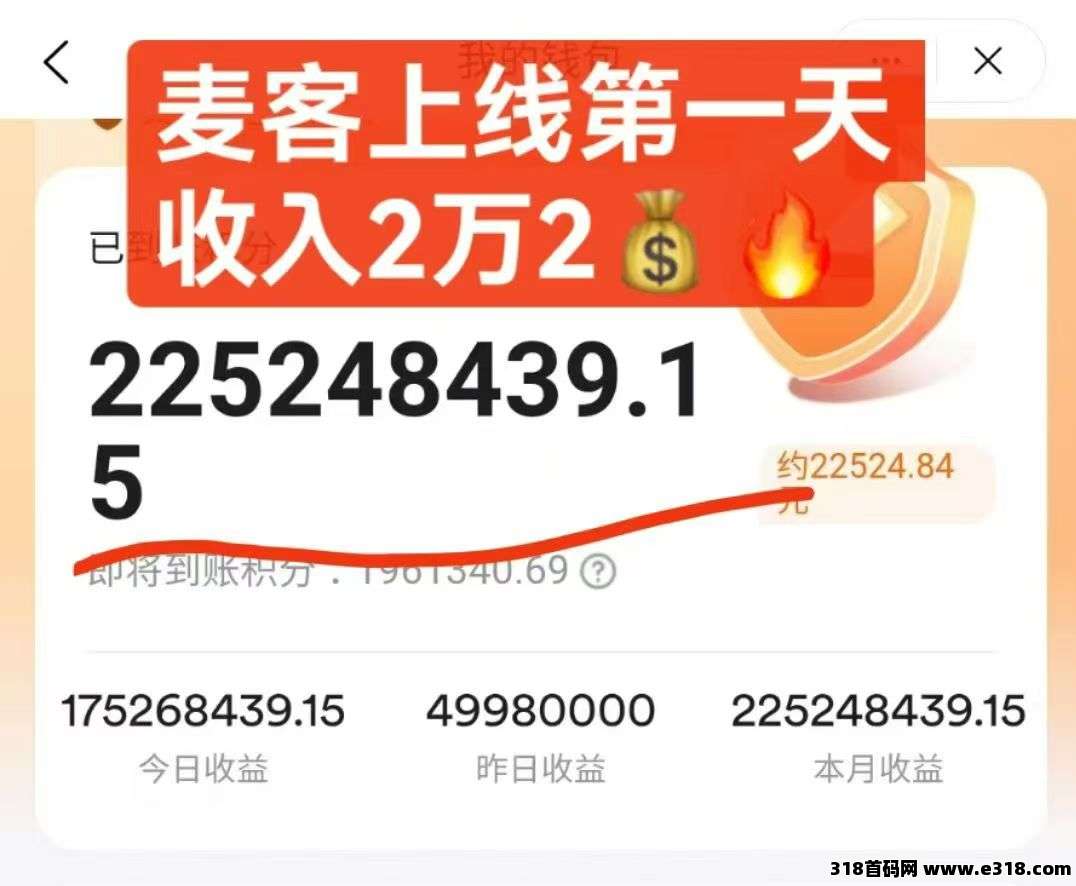 【麦客】人人都能做，新手全程带，推广有扶持