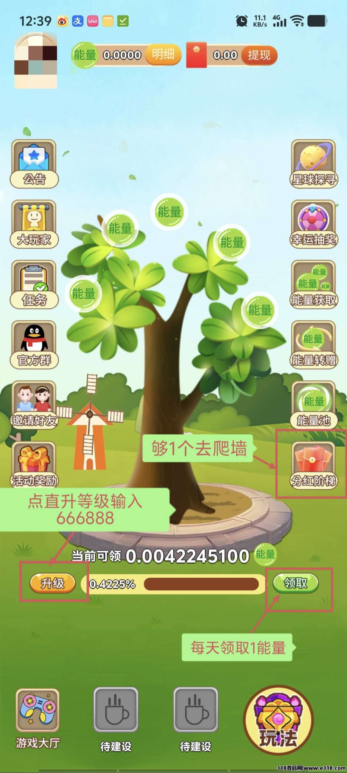 首码开心果树，零撸不看广告