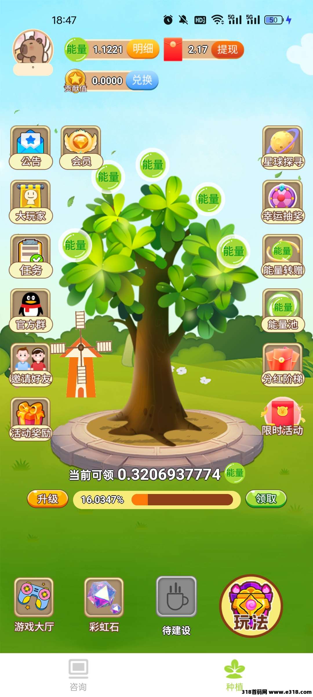 开心果树，每天零撸1.3能量