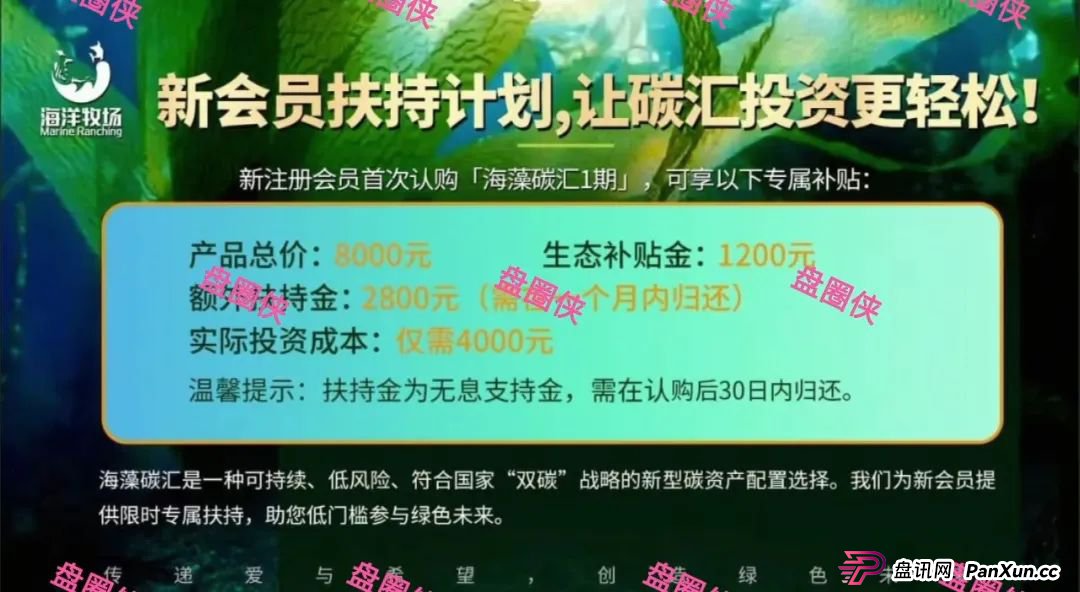 曝光：最新资金盘项目骗局，海洋牧场，益友荟，olga欧嘉...随时可能卷钱跑路